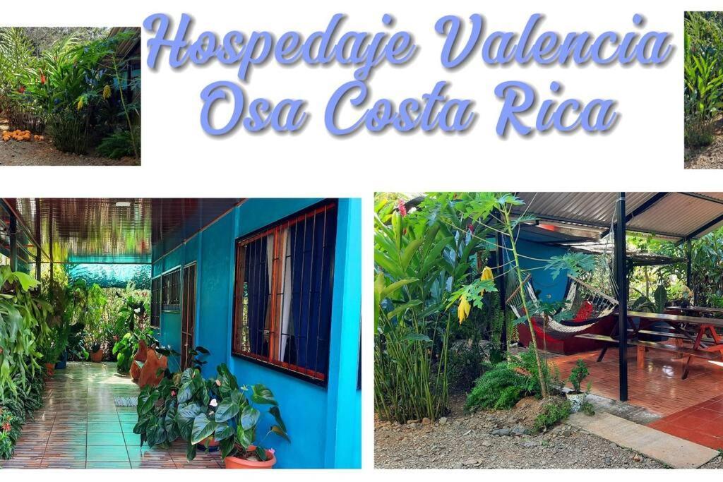 Potrero  Hospedaje Valencia Osa, Cr מראה חיצוני תמונה