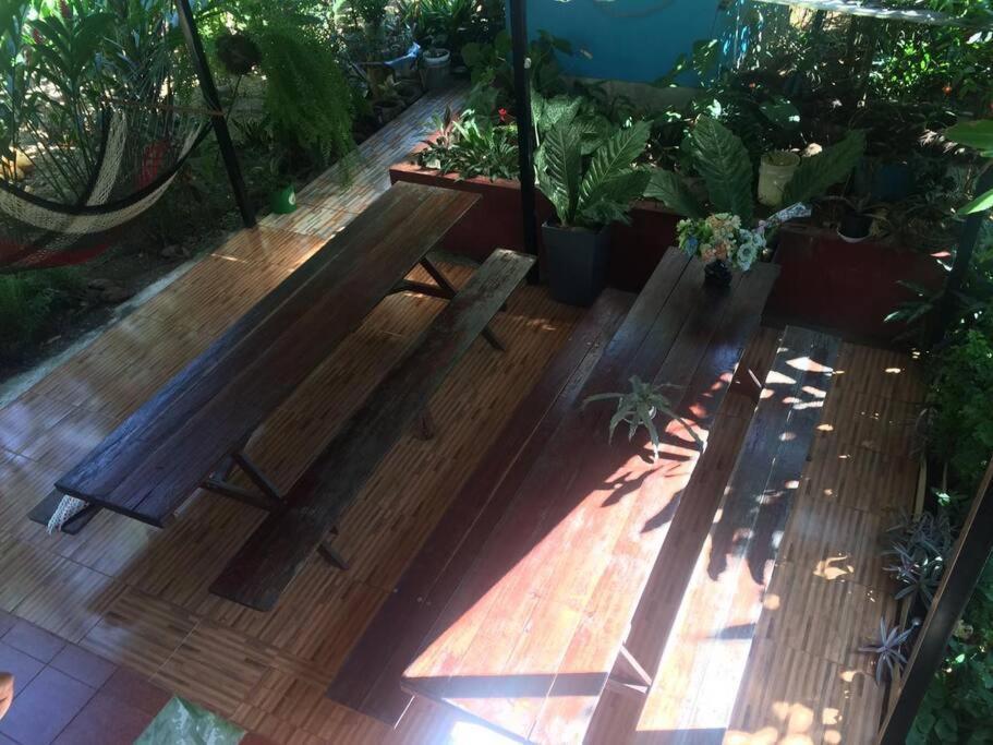 Potrero  Hospedaje Valencia Osa, Cr מראה חיצוני תמונה