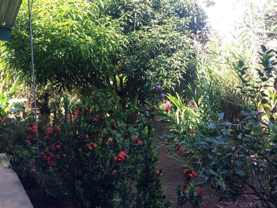 Potrero  Hospedaje Valencia Osa, Cr מראה חיצוני תמונה