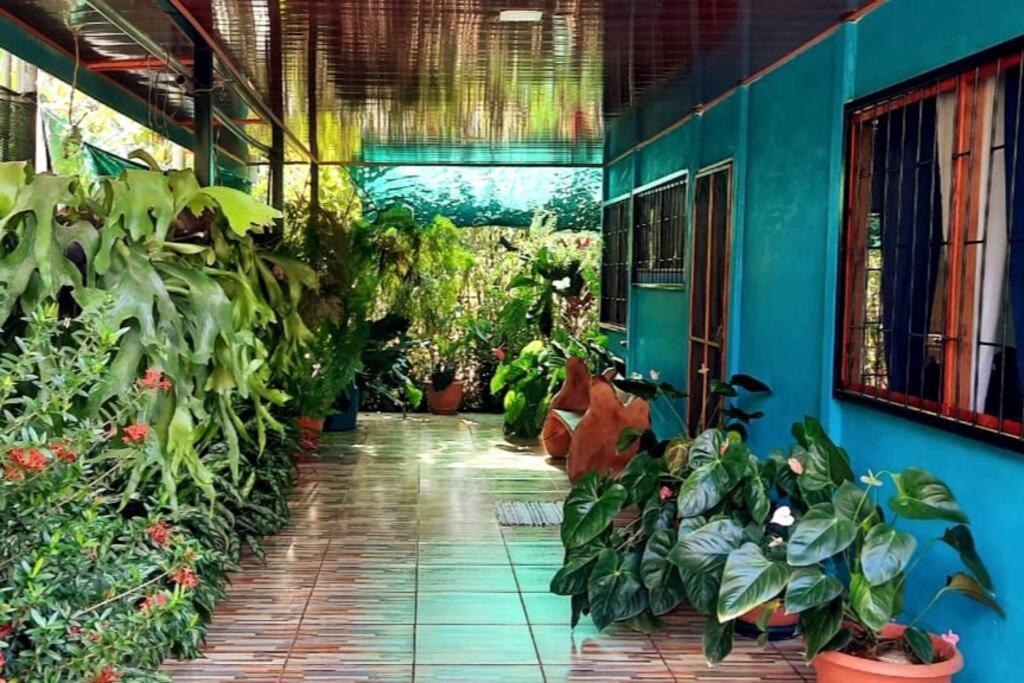 Potrero  Hospedaje Valencia Osa, Cr מראה חיצוני תמונה