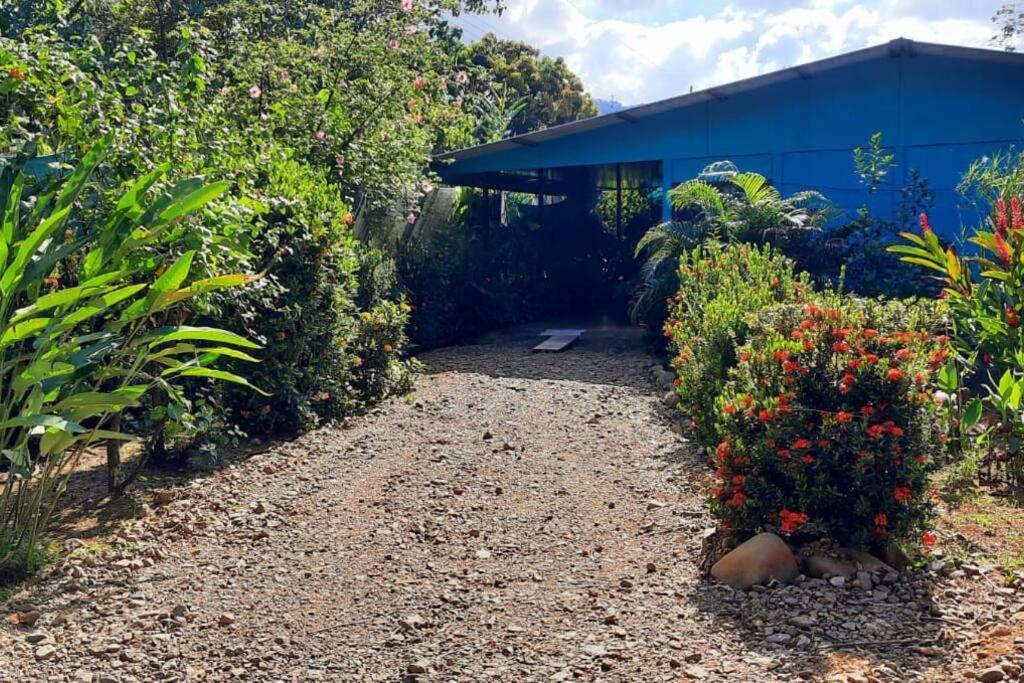 Potrero  Hospedaje Valencia Osa, Cr מראה חיצוני תמונה