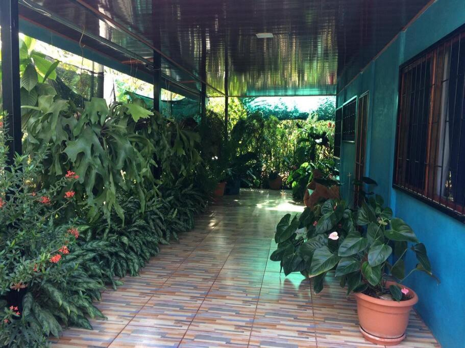 Potrero  Hospedaje Valencia Osa, Cr מראה חיצוני תמונה